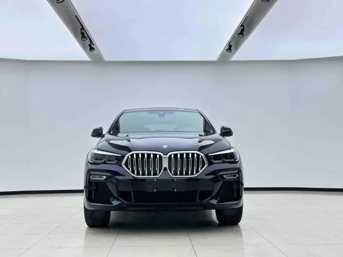 BMW X6 2021 Model xDrive30i M Sports Set – фото 2