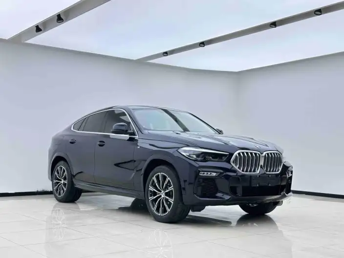 BMW X6 2021 Model xDrive30i M Sports Set – фото 3