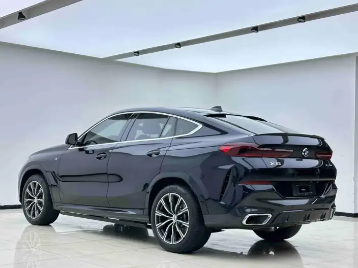 BMW X6 2021 Model xDrive30i M Sports Set – фото 4
