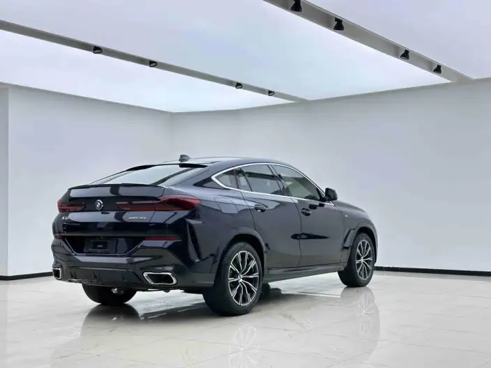 BMW X6 2021 Model xDrive30i M Sports Set – фото 6