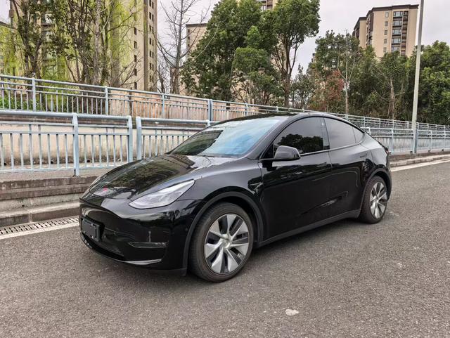 Tesla Model Y 2021 Standard Range RWD – фото 1