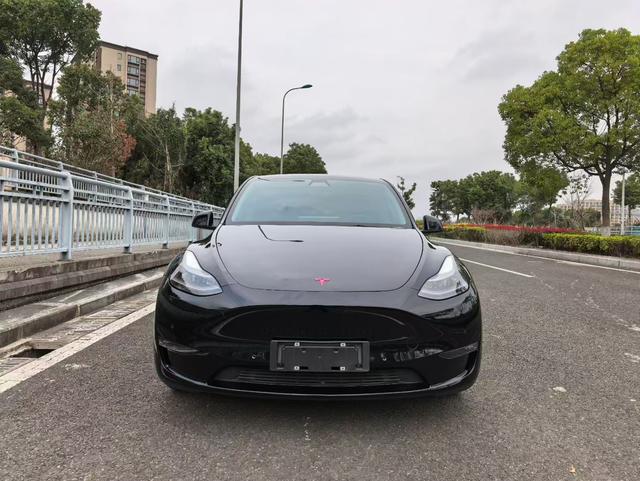 Tesla Model Y 2021 Standard Range RWD – фото 2
