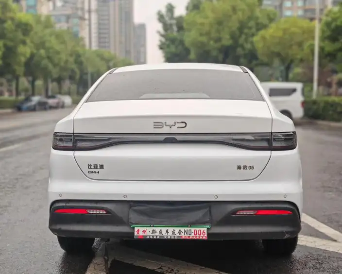 BYD Seal 05DM 2025 Model Smart Driving Edition DM-i 55KM Luxury Model – фото 5