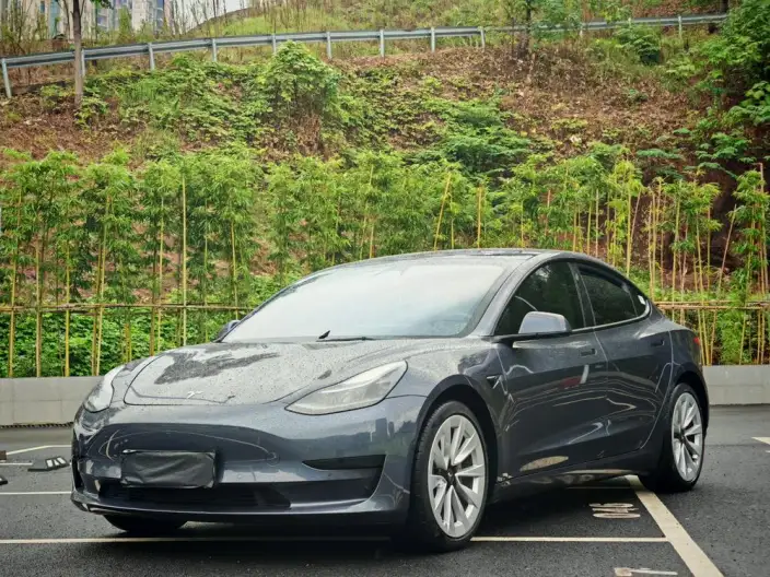 Model 3 2022 Model Rear-wheel drive version – фото 1