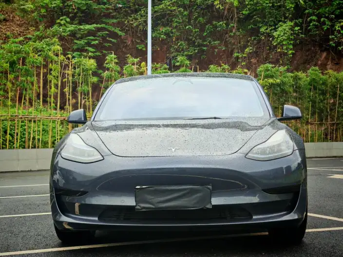 Model 3 2022 Model Rear-wheel drive version – фото 2