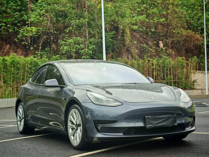 Model 3 2022 Model Rear-wheel drive version – фото 3