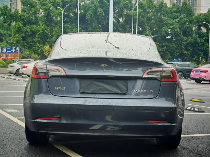 Model 3 2022 Model Rear-wheel drive version – фото 5