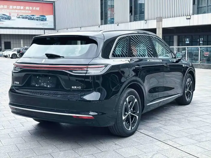 Sangyuan H5 2025 Model Extended Range Max – фото 7