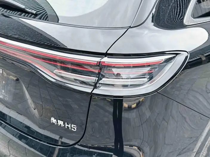 Sangyuan H5 2025 Model Extended Range Max – фото 9