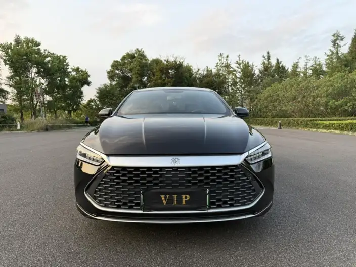 BYD Qin PLUS DM 2023 Model DM-i Champion Edition 55KM Leading Model – фото 2