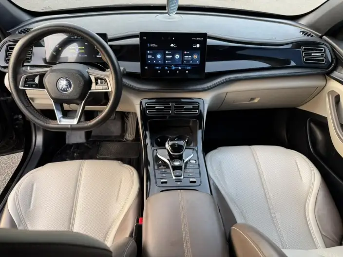 BYD Qin PLUS DM 2023 Model DM-i Champion Edition 55KM Leading Model – фото 8