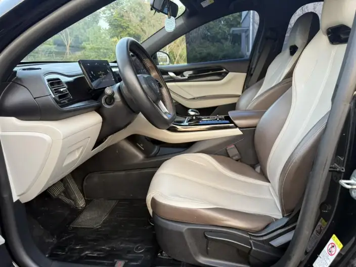 BYD Qin PLUS DM 2023 Model DM-i Champion Edition 55KM Leading Model – фото 10