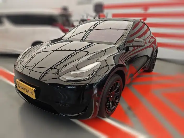 Model Y 2022 Model Facelift Rear-wheel drive version – фото 1