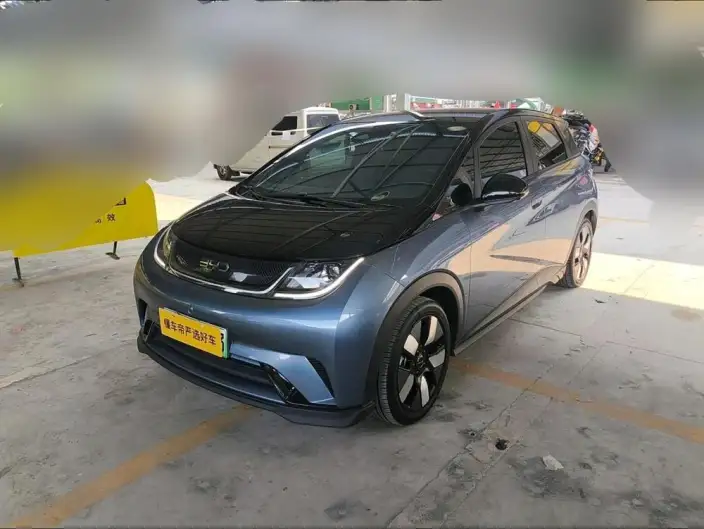 BYD Dolphin 2024 Model Honor Edition 401km Knight Edition – фото 1