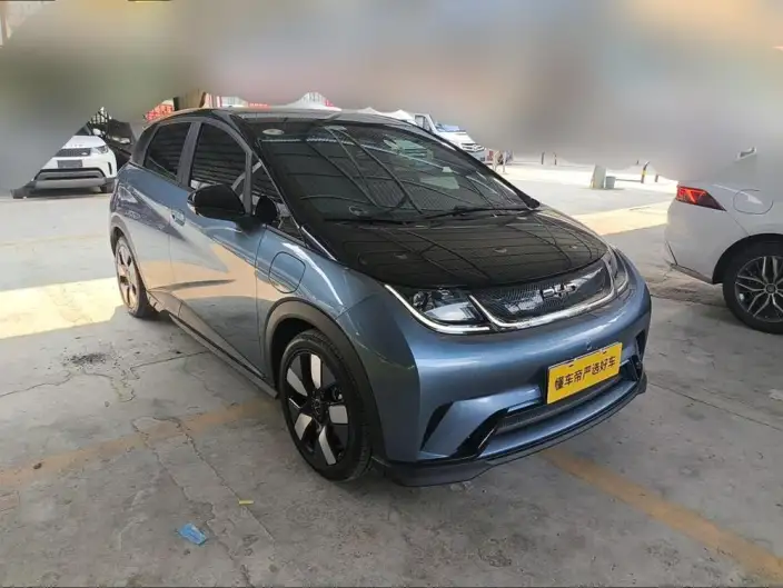 BYD Dolphin 2024 Model Honor Edition 401km Knight Edition – фото 2
