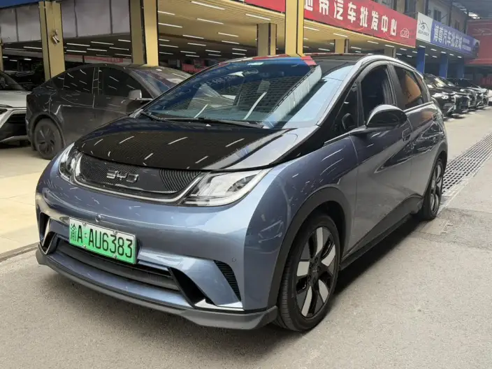 BYD Dolphin 2024 Model Honor Edition 401km Knight Edition – фото 1