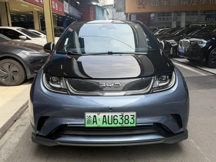 BYD Dolphin 2024 Model Honor Edition 401km Knight Edition – фото 2