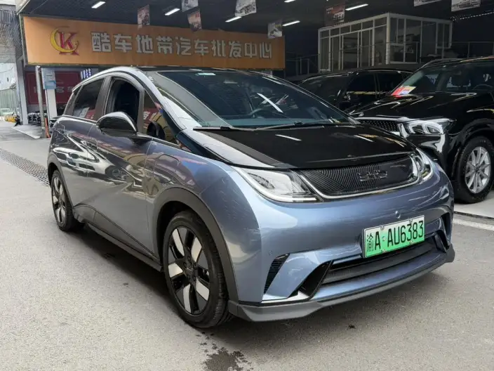 BYD Dolphin 2024 Model Honor Edition 401km Knight Edition – фото 3