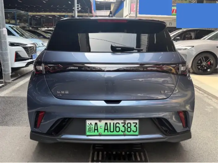 BYD Dolphin 2024 Model Honor Edition 401km Knight Edition – фото 5