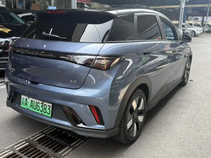 BYD Dolphin 2024 Model Honor Edition 401km Knight Edition – фото 6
