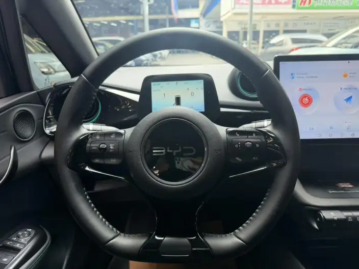 BYD Dolphin 2024 Model Honor Edition 401km Knight Edition – фото 10