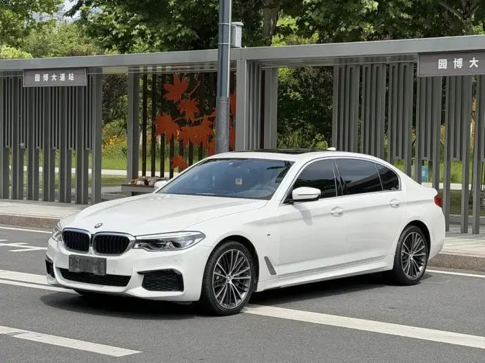 BMW 5 Series 2020 Model 530Li Exclusive Model M Sports Set – фото 1