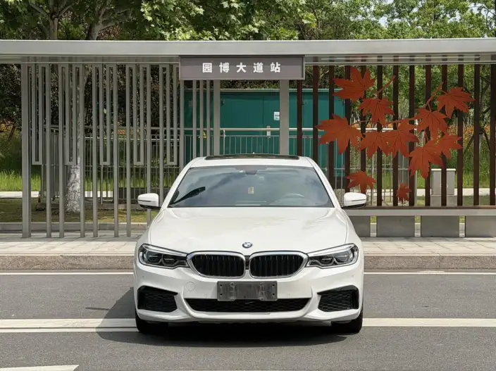 BMW 5 Series 2020 Model 530Li Exclusive Model M Sports Set – фото 2