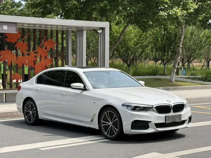 BMW 5 Series 2020 Model 530Li Exclusive Model M Sports Set – фото 3