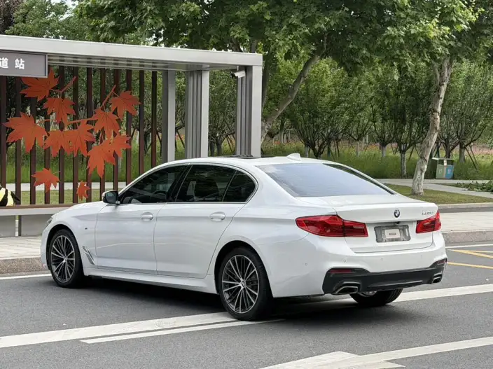 BMW 5 Series 2020 Model 530Li Exclusive Model M Sports Set – фото 4