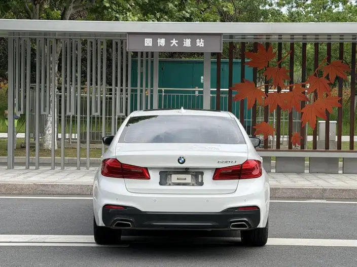 BMW 5 Series 2020 Model 530Li Exclusive Model M Sports Set – фото 5