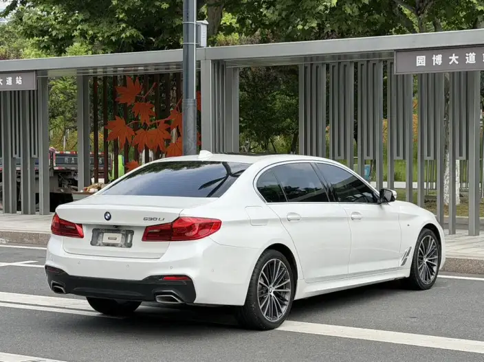 BMW 5 Series 2020 Model 530Li Exclusive Model M Sports Set – фото 6