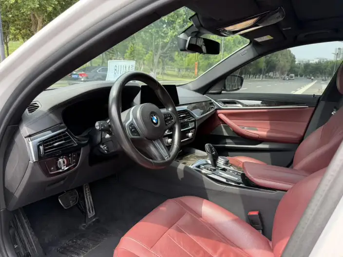 BMW 5 Series 2020 Model 530Li Exclusive Model M Sports Set – фото 8