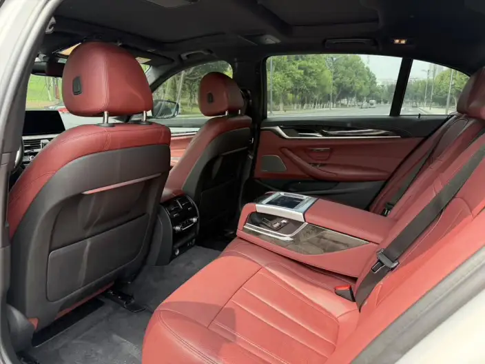BMW 5 Series 2020 Model 530Li Exclusive Model M Sports Set – фото 9