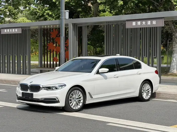 BMW 5 Series 2020 Model 530Li Exclusive Model Luxury Set – фото 1