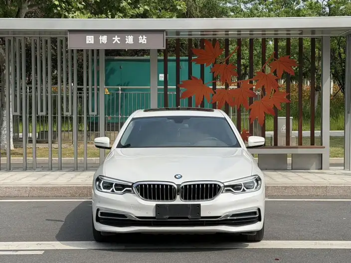 BMW 5 Series 2020 Model 530Li Exclusive Model Luxury Set – фото 2