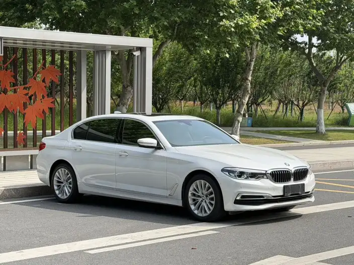 BMW 5 Series 2020 Model 530Li Exclusive Model Luxury Set – фото 3