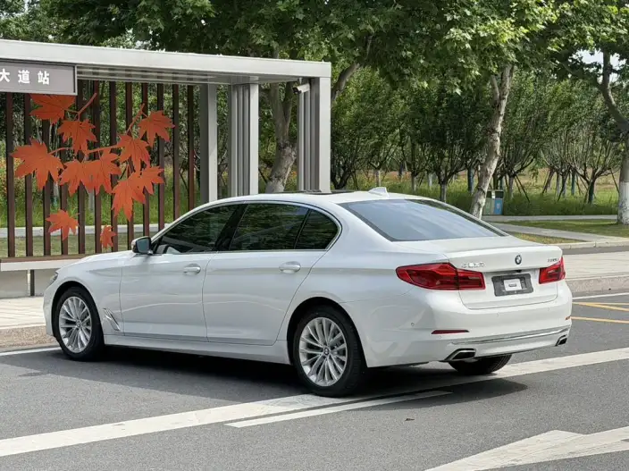 BMW 5 Series 2020 Model 530Li Exclusive Model Luxury Set – фото 4