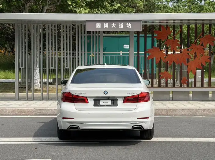 BMW 5 Series 2020 Model 530Li Exclusive Model Luxury Set – фото 5
