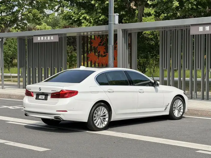 BMW 5 Series 2020 Model 530Li Exclusive Model Luxury Set – фото 6