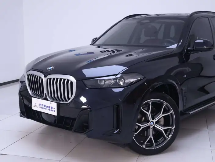 BMW X5 2023 Model xDrive30Li Exclusive Model M Sports Night Set – фото 9