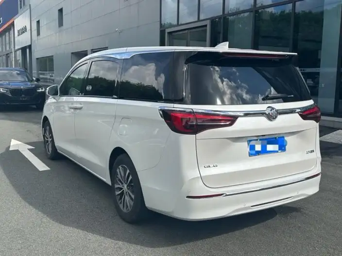 Buick GL8 2020 Model ES Luzun 653T Comfort Model – фото 4