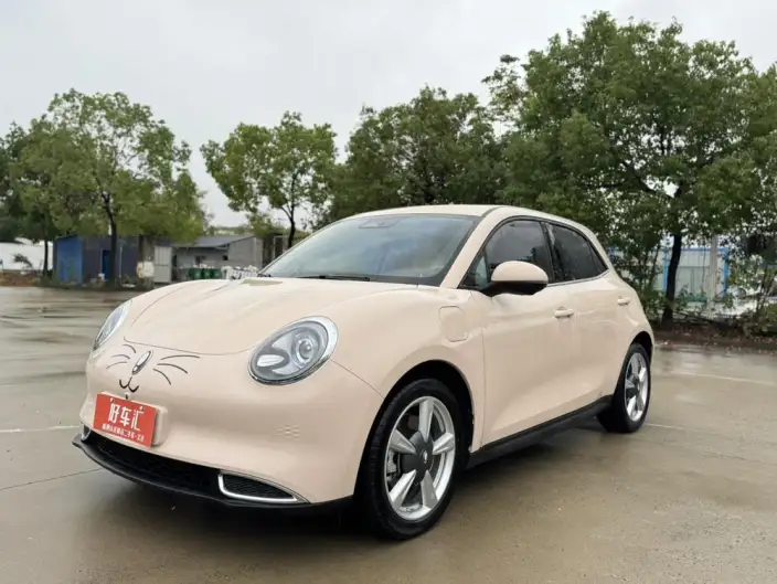 ORA Good Cat 2023 Model 401km Standard Battery Life Zunrong Model Lithium Iron Phosphate – фото 1