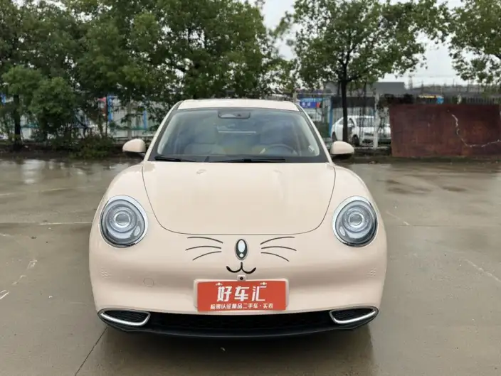 ORA Good Cat 2023 Model 401km Standard Battery Life Zunrong Model Lithium Iron Phosphate – фото 2