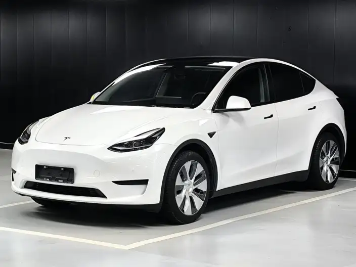 Model Y 2022 Model Facelift Rear-wheel drive version – фото 1