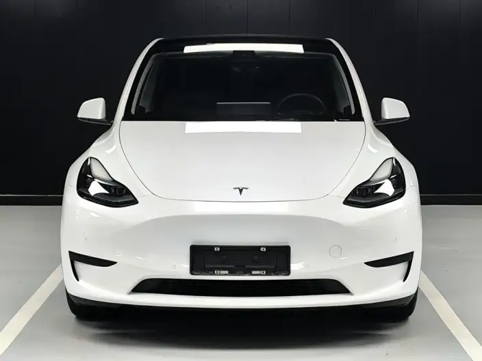 Model Y 2022 Model Facelift Rear-wheel drive version – фото 2