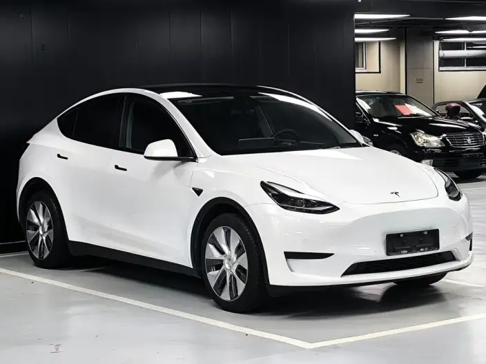 Model Y 2022 Model Facelift Rear-wheel drive version – фото 3