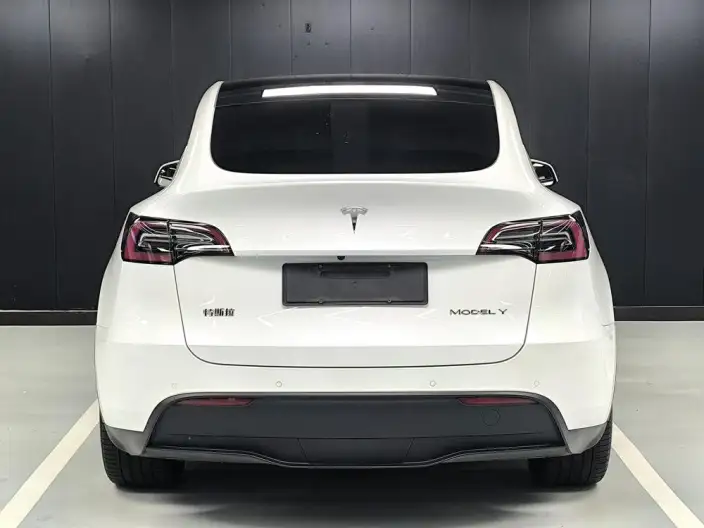 Model Y 2022 Model Facelift Rear-wheel drive version – фото 6