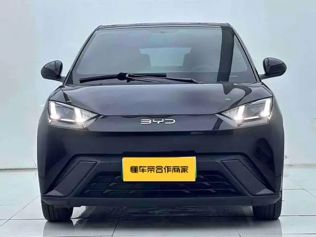 BYD Seagull 2025 Model 305KM Free Edition – фото 2