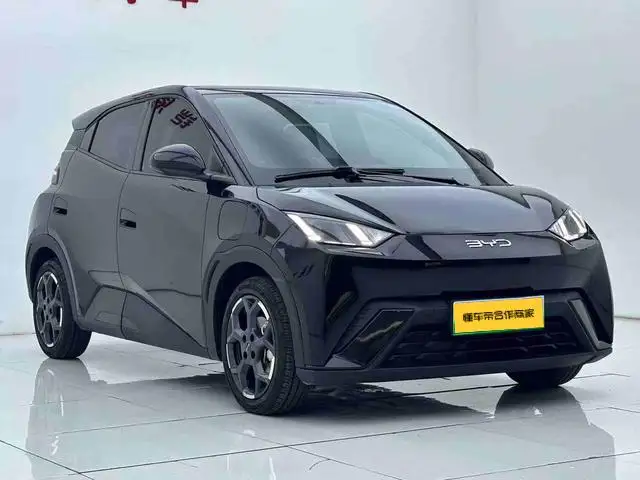 BYD Seagull 2025 Model 305KM Free Edition – фото 3