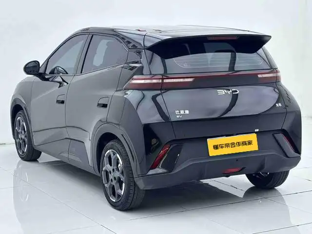 BYD Seagull 2025 Model 305KM Free Edition – фото 4